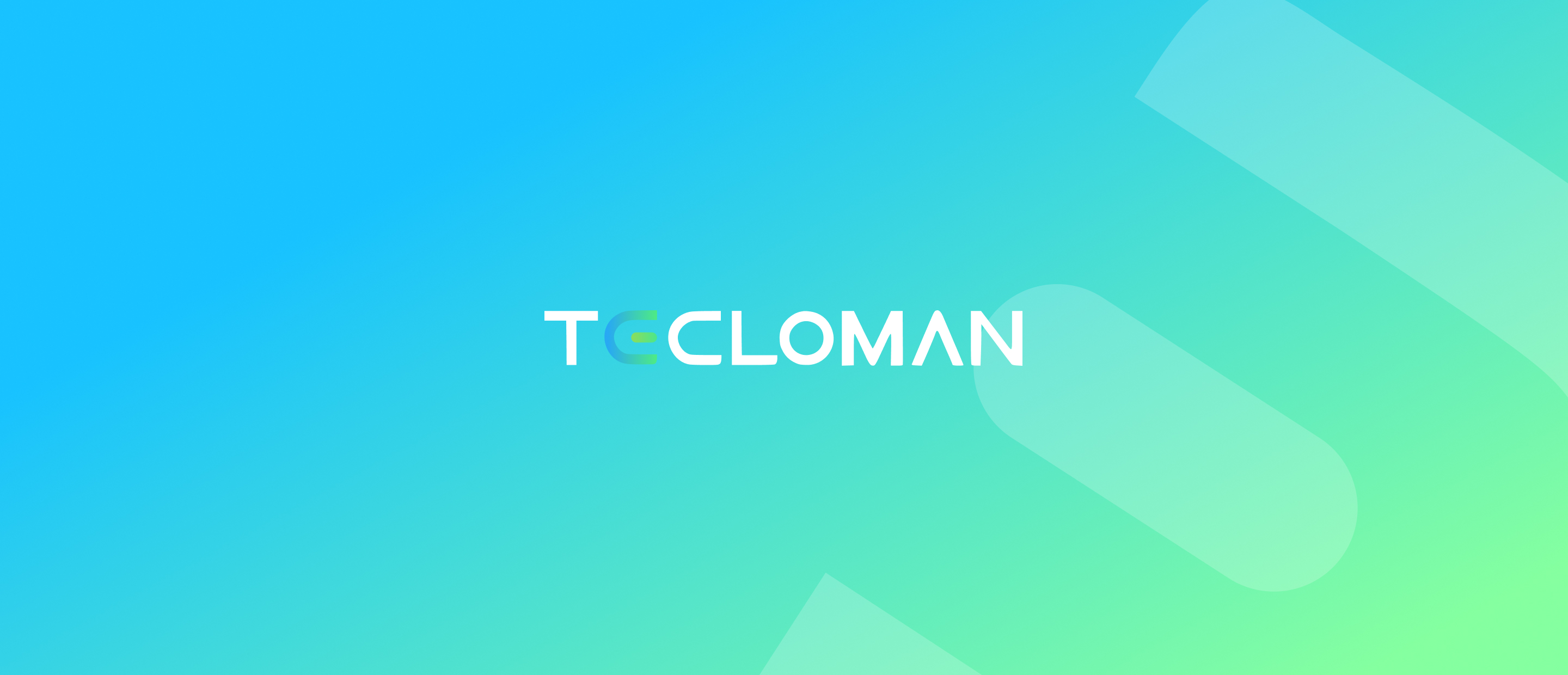 How Tecloman C&I BESS Meets Diverse Energy Needs